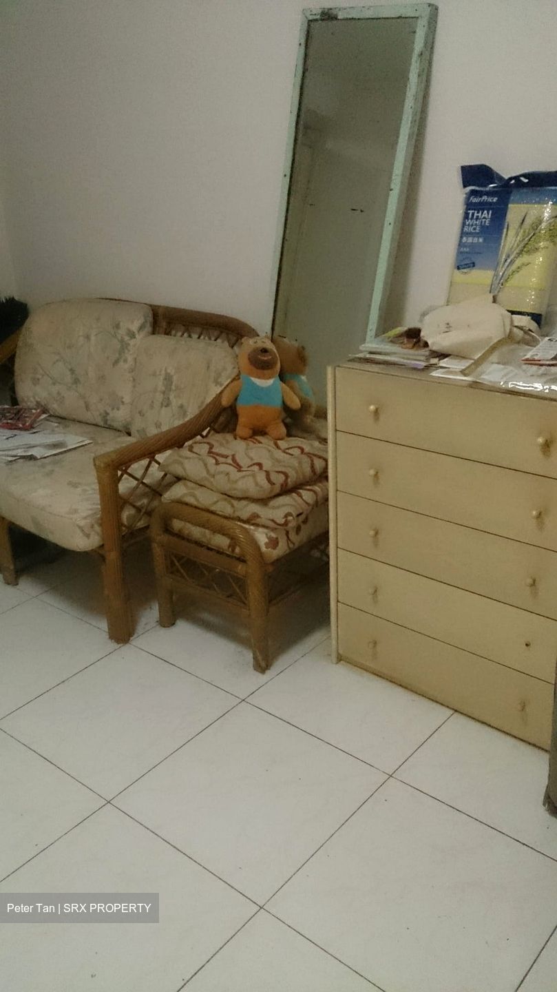 Blk 170 Stirling View (Queenstown), HDB 3 Rooms #581206621
